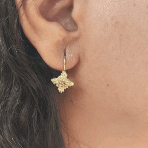 Brinco Gancho cravejado de Zircônias