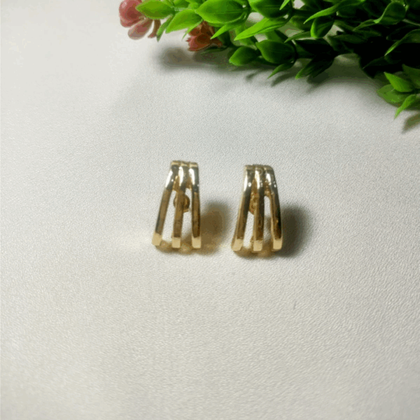 Brinco Garra Folheado a Ouro 18k